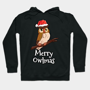 Merry Owlmas Merry Christmas Santas Hat Owl Hoodie